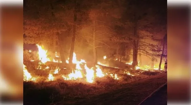 France battles wildfire larger than Paris; one dead as blaze spreads fast