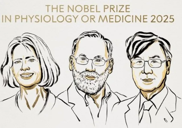 US, Japanese scientists win 2025 Nobel Prize in Medicine for immune system discovery