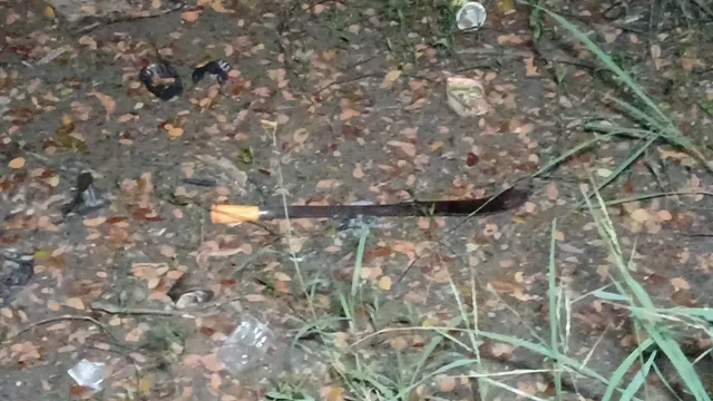 Betel shop owner murdered near Jagatsinghpur Bus Stand; South Indian chopper seized