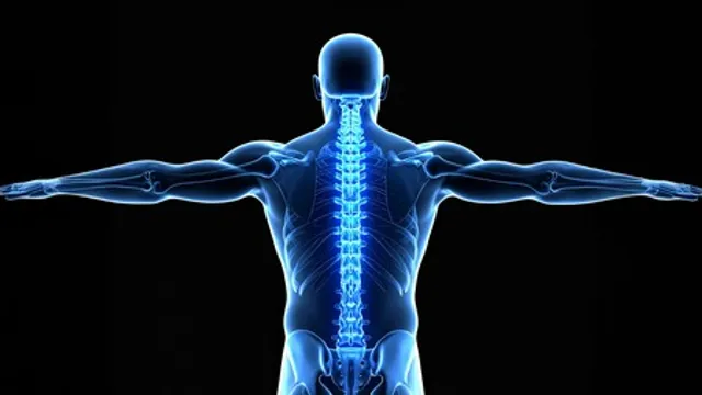 Japanese researchers achieve breakthrough in bone regeneration using stem cells