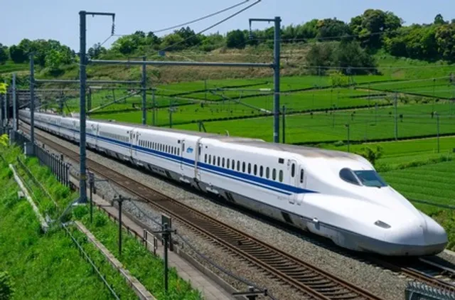 Swan on tracks briefly halts bullet train services in Japan
