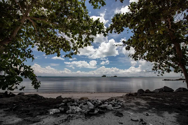 Winter, pollution, changing lifestyle surging autoimmune diseases in women