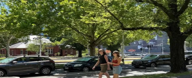 January 2026 among five warmest ever recorded: EU Climate Monitor