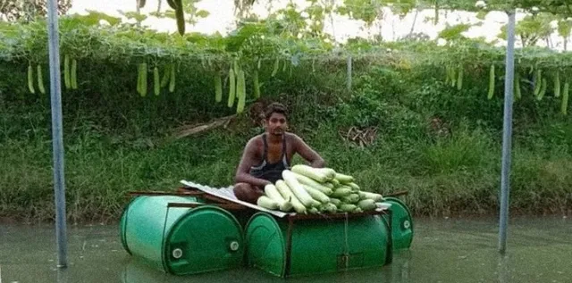 PM Modi hails Odisha's Hirod Patel for approaching farming from a new perspective