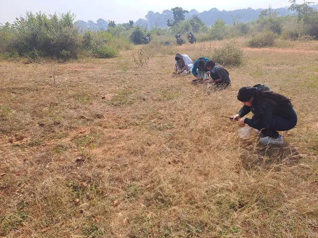 Evidence of human habitation in Odisha's Sundargarh 40,000 years ago: Stone Age tools found in Ib river basin