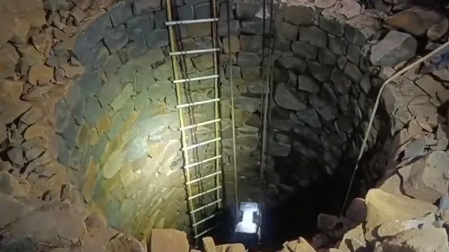 Elephant calf dies after falling into well in Odisha's Keonjhar