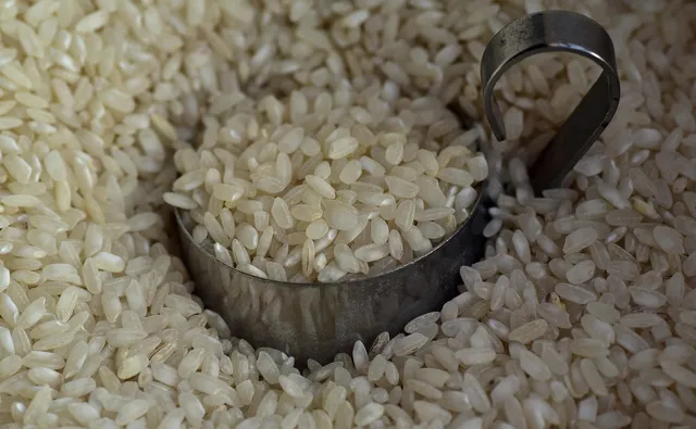 Centre temporarily halts rice fortification under PMGKAY