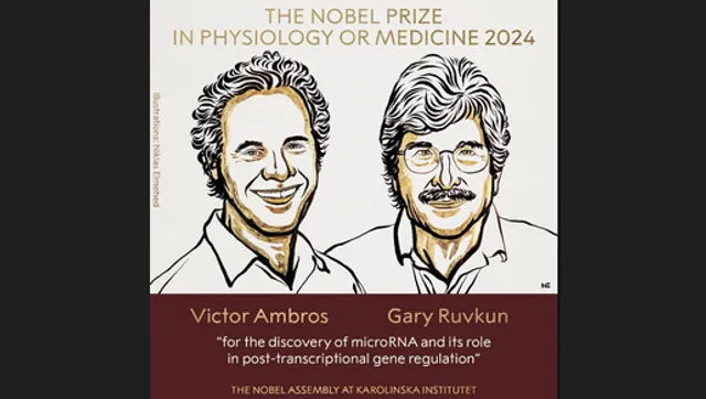 US scientists awarded 2024 Nobel Prize in Medicine for microRNA discovery