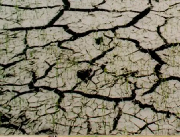 The connection between soil, water scarcity and global warming