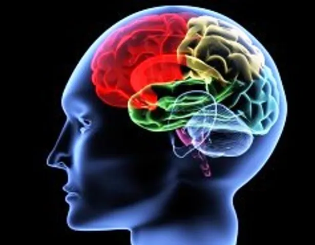 Study identifies common genetic variants associated with drug-resistant epilepsy