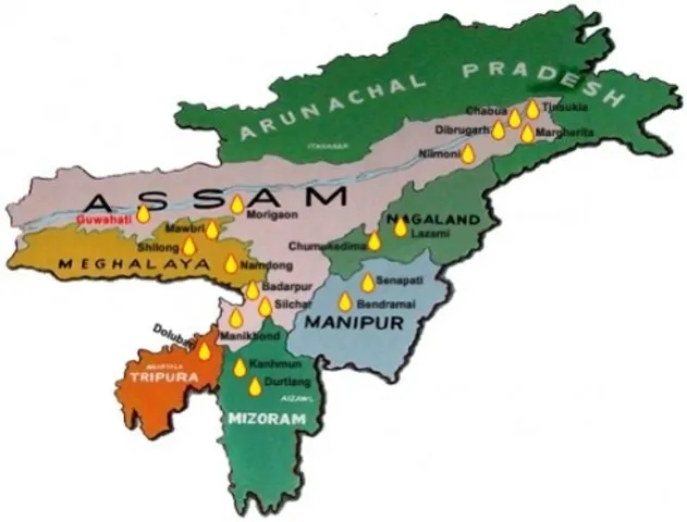 I AM FROM NORTHEAST BUT I'M NOT MOWGLI !