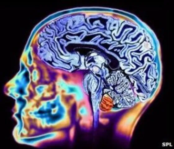 Study shows childhood air pollution exposure may impair cognitive, self-control abilities