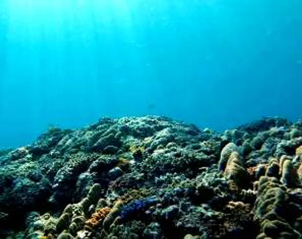 France, Brazil launch initiative to scale up ocean-focused climate action