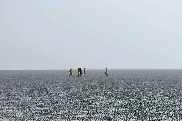 6 Reasons Why Chandipur Beach is One of its Kind