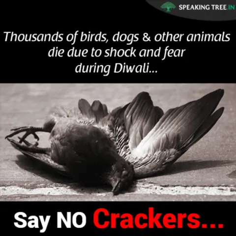 5 Reasons to Say ‘YES’ to Cracker-Free Diwali