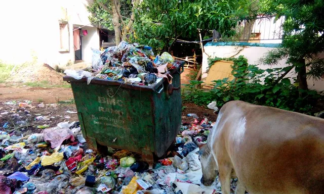 Aren't citizens responsible for keeping their own city clean?