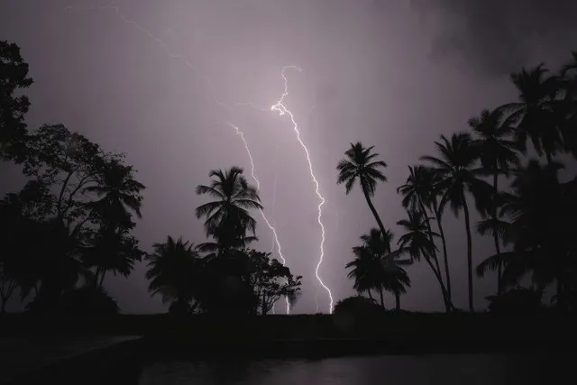 5 dead, 2 critical in lightning strike in Odisha’s Kendrapara  