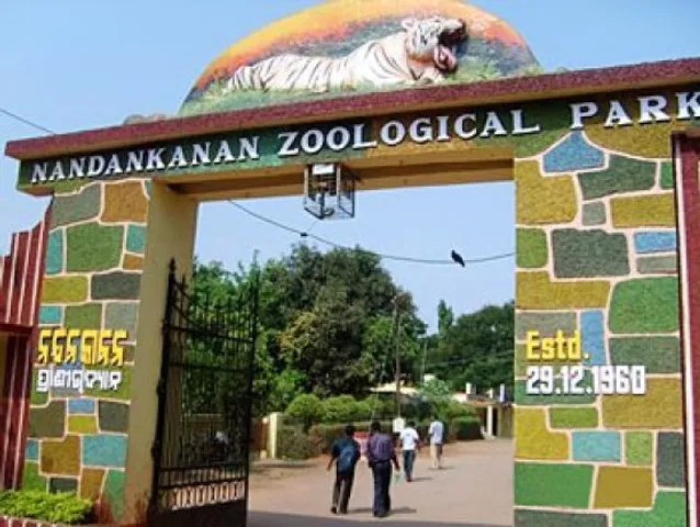 Two more tiger cubs born in Odisha’s Nandankanan zoo