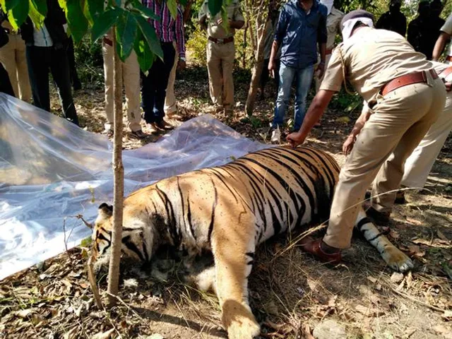 Tigress dies in Odisha’s Nandankanan Zoo