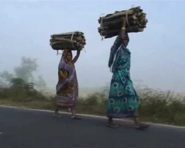 Odisha gets respite from intense cold conditions