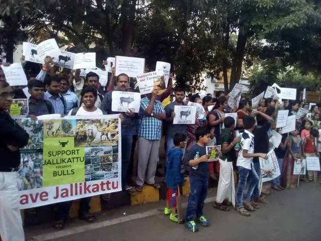 Peaceful protest in Odisha capital in support of Jallikattu