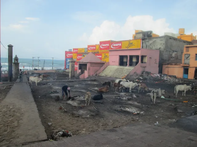 Swargadwara land row: Panel headed by Collector to submit report within a week