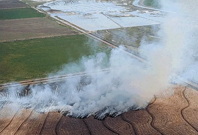 Unchecked agri waste burning to cause severe air pollution this Diwali