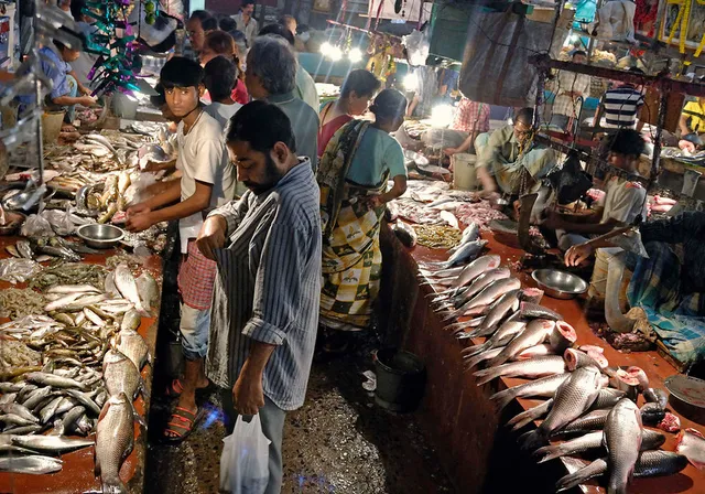 Toxic lead found in rice, fish in Kolkata