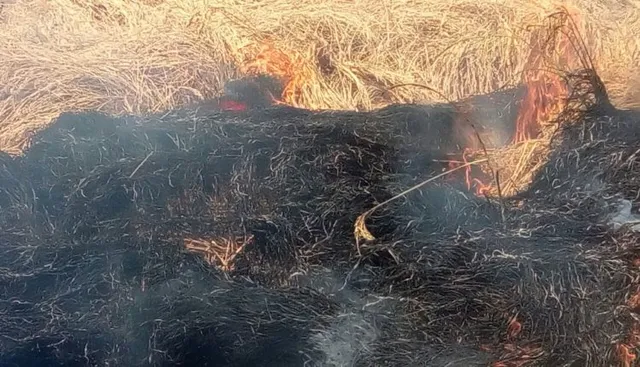 Farmers who burnt crops also to get relief in Odisha