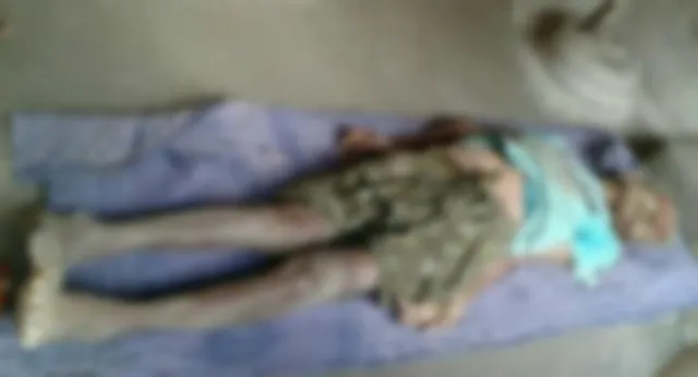 Elderly man trampled to death by elephants in Odisha's Nuapada