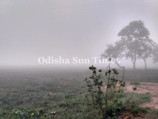 Odisha likely to experience intense cold from Jan 5