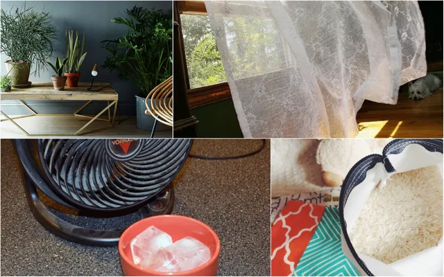 Keep your house cool in Odisha summer with these simple hacks
