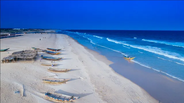 Interesting watch: This Gopalpur art fest video is for all those who missed it this year!