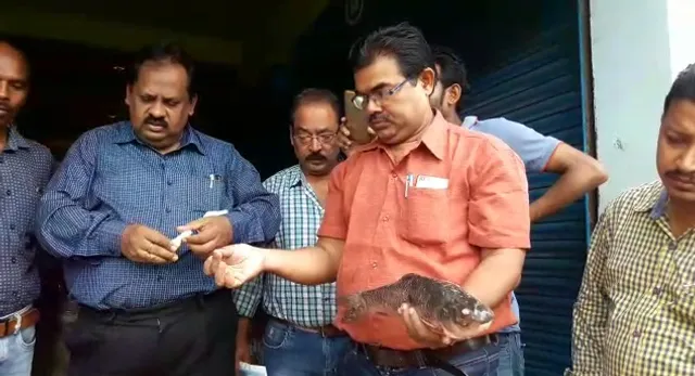 Cancer-causing formalin detected in fishes in Odisha's Sambalpur