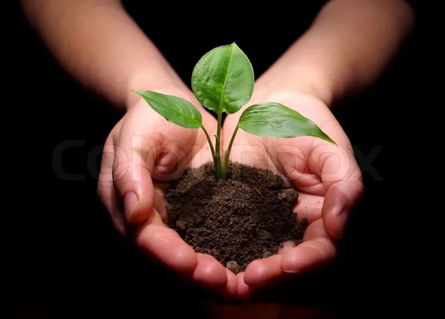 Get sapling free on purchase of new vehicles in Odisha capital