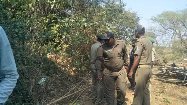 Leopard spotted again in Bhubaneswar  