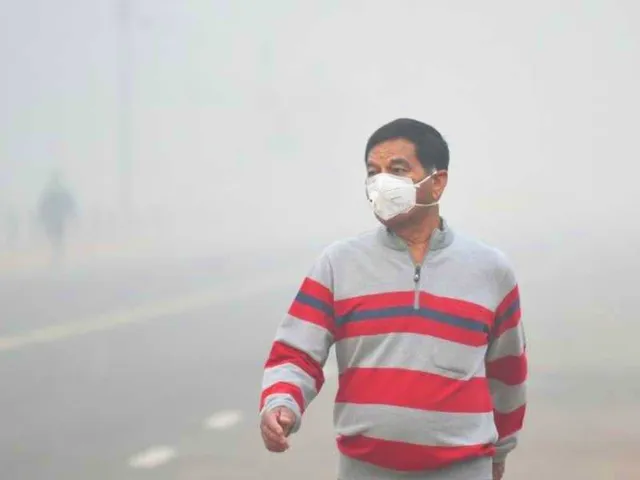 Air pollution linked to premature death risk