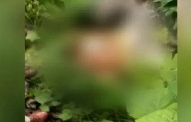 Couple found dead at forest in Odisha, murder over sorcery suspected