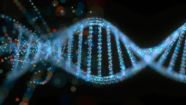Digital life may be stored on DNA data files soon