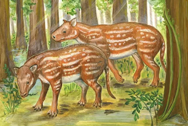 Horses, rhinos evolved from strange hoofed animal in India: Study