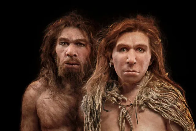 'Modern humans mixed regularly with Neanderthals in Europe'