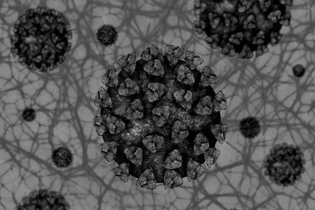 Black fungus: Risk factors and its treatment