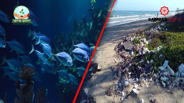 How micro plastic particles are polluting soil