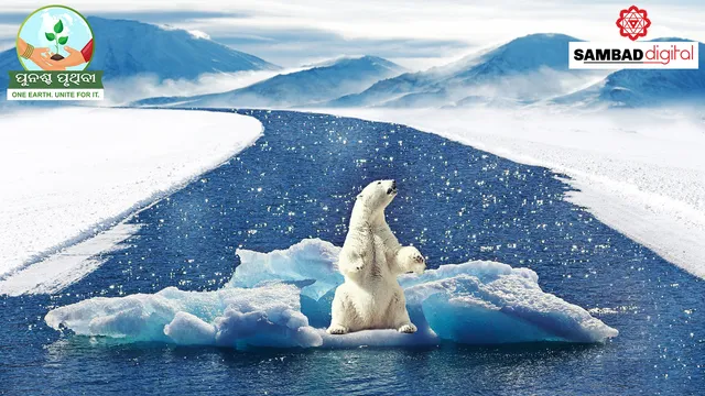 Sea ice loss another wake-up call on climate change