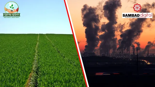 Explained: What are Greenhouse gases and their effects on climate