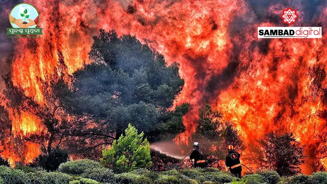 UN report suggests solutions to environmental threats like wildfires, noise pollution