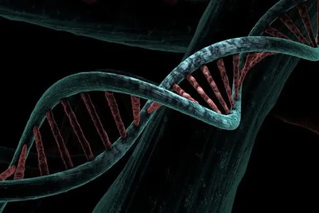 Scientists explain how 'junk' DNA may help treat people with PTSD, phobia