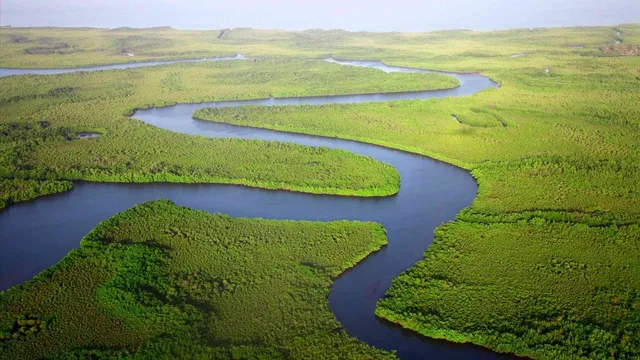 Lesser known facts about the mighty Amazon River