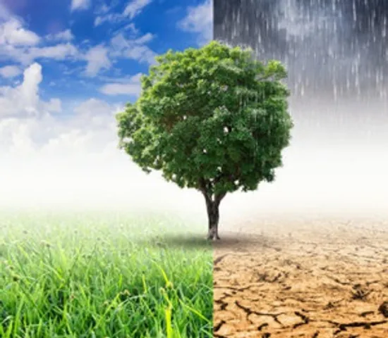 India made significant progress on climate action: Economic Survey