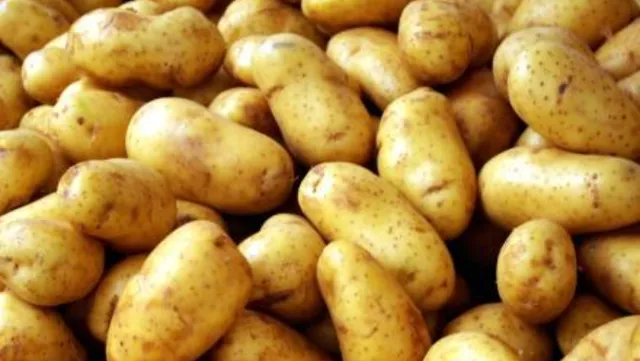 No need to worry about potato: Odisha Minister to people after tuber-laden trucks halted midway in Bengal